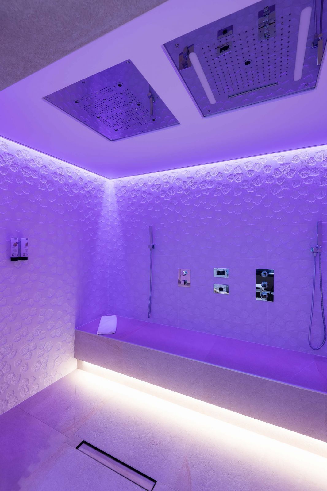 Hostellerie La Cheneaudière & Spa - Alsace